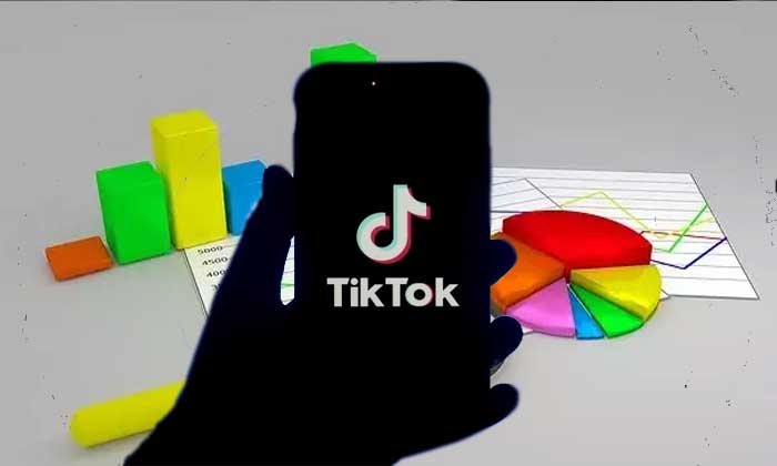 TikTok Analytics