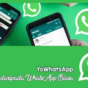 aplikasi yowhatsapp knpi