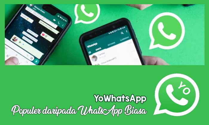aplikasi yowhatsapp knpi