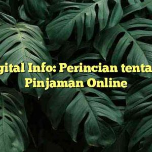 Digital Info: Perincian tentang Pinjaman Online