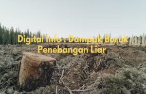 dampak buruk penebangan liar bagi kehidupan