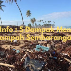 dampak membuang sampah sembarangan