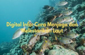 cara menjaga dan melestarikan laut
