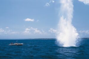 dampak buruk penggunaan bom ikan
