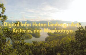 hutan lindung