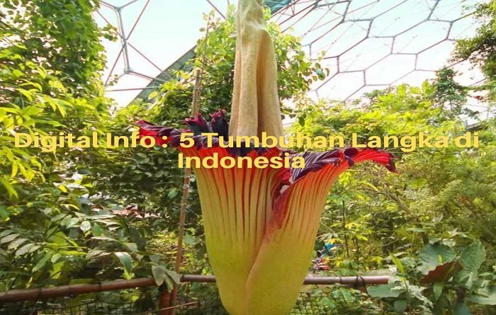 5 tumbuhan langka di indonesia