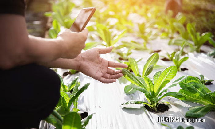 perubahan iklim terhadap agrikultur