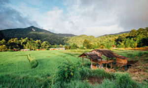 Perubahan Iklim Terhadap Masyarakat Pedesaan