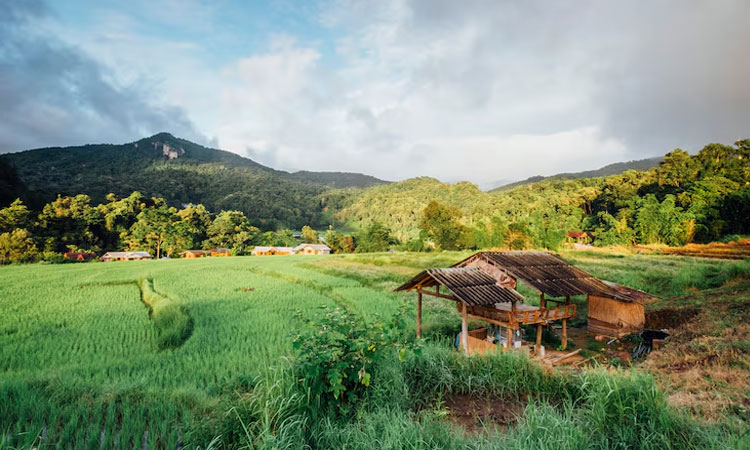 Perubahan Iklim Terhadap Masyarakat Pedesaan