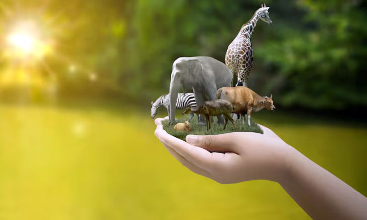 Keanekaragaman Hayati