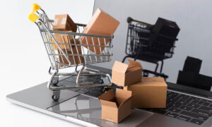 Berbelanja Ecommerce