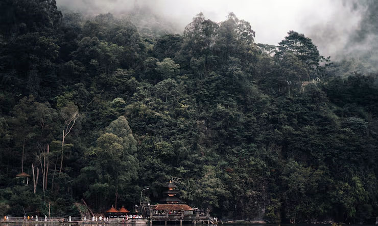 Peran Hutan